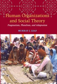 Produktbild: Leaf, M: Human Organizations and Social Theory