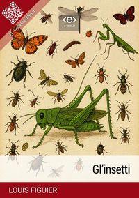 Produktbild: Gl'insetti