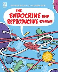 Produktbild: The Endocrine and Reproductive Systems