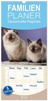Produktbild: Familienplaner 2026 - Zauberhafte Ragdolls mit 5 Spalten (Wandkalender, 21 x 45 cm) CALVENDO