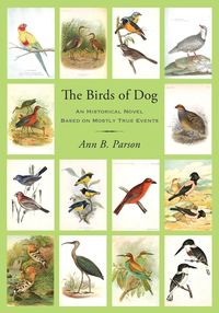 Produktbild: The Birds of Dog