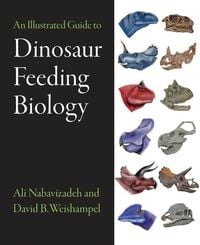 Produktbild: An Illustrated Guide to Dinosaur Feeding Biology