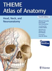 Produktbild: Head, Neck, and Neuroanatomy (THIEME Atlas of Anatomy)