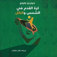 Produktbild: Football in the sun and shadow