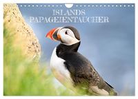 Produktbild: Islands Papageientaucher (Wandkalender 2027 DIN A4 quer), CALVENDO Monatskalender