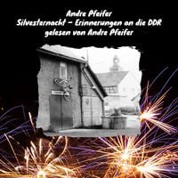 Produktbild: Silvesternacht