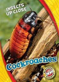 Produktbild: Cockroaches