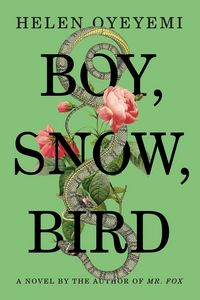 Produktbild: Boy, Snow, Bird