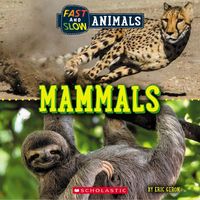 Produktbild: Mammals (Wild World: Fast and Slow Animals)