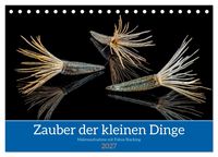 Produktbild: Zauber der kleinen Dinge (Tischkalender 2027 DIN A5 quer), CALVENDO Monatskalender