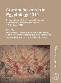 Produktbild: Current Research in Egyptology 2019