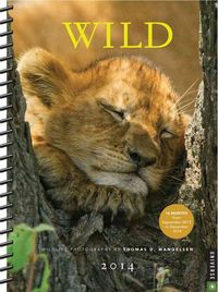 Produktbild: Wild 2013-2014 Engagement Calendar: Wildlife Photography by Thomas D. Mangelsen