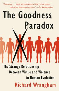 Produktbild: The Goodness Paradox