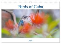 Produktbild: Birds of Cuba Island (Wall Calendar 2026 DIN A3 landscape), CALVENDO 12 Month Wall Calendar