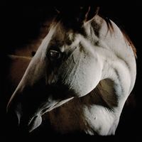 Bild vom Artikel How To Kill A Horse (Digisleeve) vom Autor Brother Dege