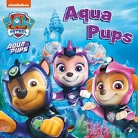 Produktbild: PAW PATROL BOARD BK AQUA BRD