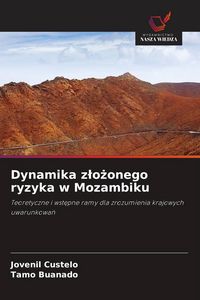 Produktbild: Dynamika z&iquest;o&iquest;onego ryzyka w Mozambiku