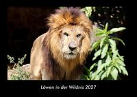 Produktbild: L&ouml;wen in der Wildnis 2027 Fotokalender DIN A3