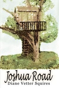 Produktbild: Joshua Road