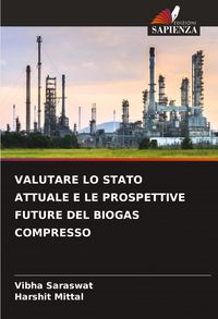 Produktbild: Valutare Lo Stato Attuale E Le Prospettive Future Del Biogas Compresso