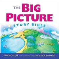 Produktbild: The Big Picture Story Bible (Redesign)