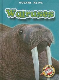 Produktbild: Walruses