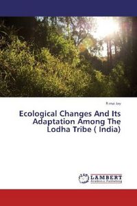 Produktbild: Kumar, C: Borrowing Constraints, Health Care Choices and Hea