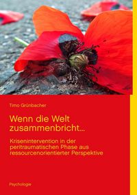 Produktbild: Wenn die Welt zusammenbricht...