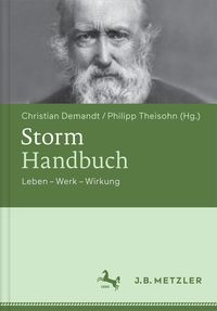 Produktbild: Storm-Handbuch