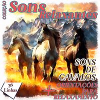 Produktbild: Cole&ccedil;&atilde;o Sons Relaxantes - Sons de Cavalos