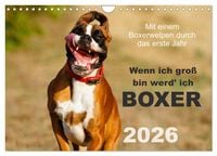 Produktbild: Wenn ich gro&szlig; bin werd' ich Boxer (Wandkalender 2026 DIN A4 quer), CALVENDO Monatskalender
