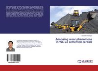 Produktbild: Analysing wear phenomena in WC-Co cemented carbide