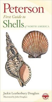 Produktbild: Shells of North America