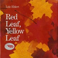 Produktbild: Red Leaf, Yellow Leaf