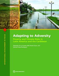 Produktbild: Adapting to Adversity