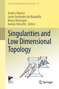 Produktbild: Singularities and Low Dimensional Topology