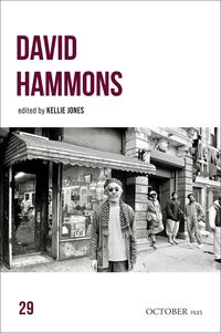 Produktbild: David Hammons