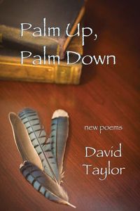 Bild vom Artikel Palm Up, Palm Down vom Autor David Taylor