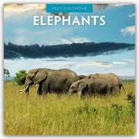Produktbild: Elephants &ndash; Elefanten 2027 &ndash; 16-Monatskalender