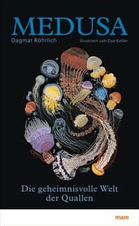 Produktbild: Medusa