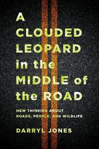 Produktbild: A Clouded Leopard in the Middle of the Road