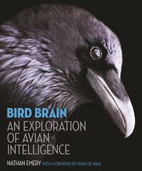 Produktbild: Bird Brain