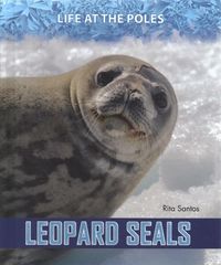 Produktbild: Leopard Seals