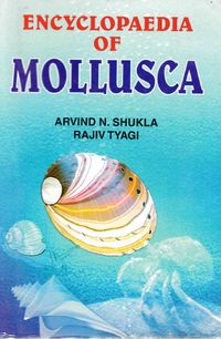 Produktbild: Encyclopaedia of Mollusca (Physiology of Molluscs)