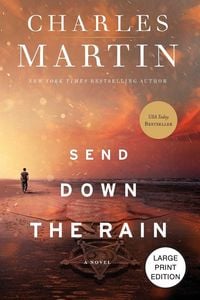 Produktbild: Send Down the Rain