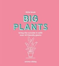 Produktbild: LITTLE BK BIG PLANTS