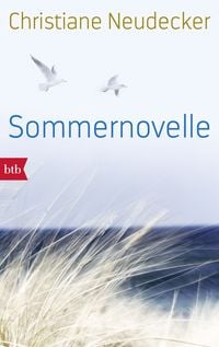 Produktbild: Sommernovelle