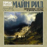 Produktbild: The Pierced Heart