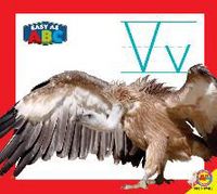 Produktbild: VV