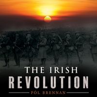Bild vom Artikel The Irish Revolution vom Autor Pl Brennan